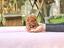 Immagine 5
