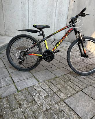 Bicicletta mtb 24 “  in alluminio marca olimpia