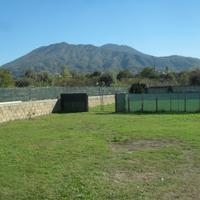 Terreno gia adibito ad attività cinofila