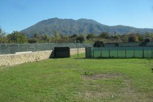 Terreno gia adibito ad attività cinofila