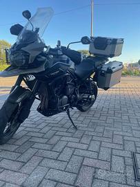 Triumph Tiger 1200 tiger 1200