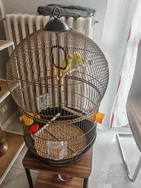 Voliera per pappagalli