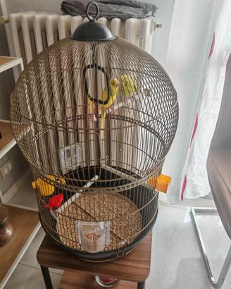 Voliera per pappagalli