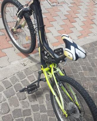 mountain bike