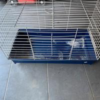 Gabbia coniglio nano o piccoli roditori