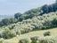 Immagine 17