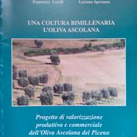 una cultura bimillenaria l'oliva ascolana.