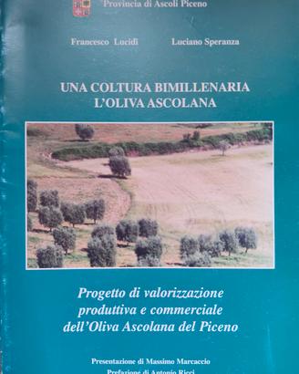 una cultura bimillenaria l'oliva ascolana.