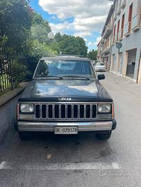 Jeep Cherokee Pioneer 1989 ASI