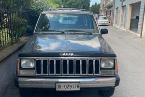 Jeep Cherokee Pioneer 1989 ASI