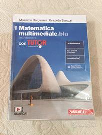 Matematica multimediale.blu 1