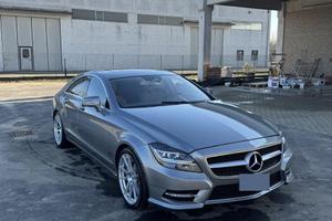 cls500 w218