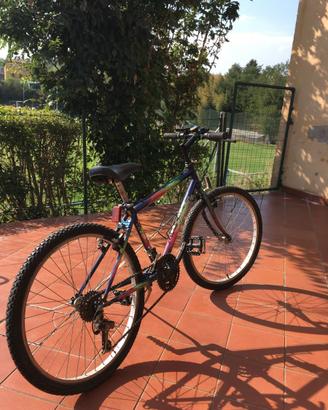 Mountain Bike 24" – MTB bambino – cambio Shimano