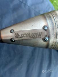 Pancia scalvini racing Tm smr Fi 2021