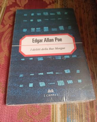 libro Edgar Allan poe 