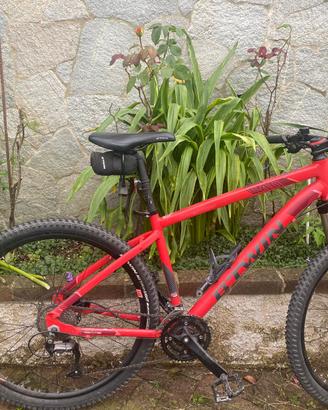 Biciclette