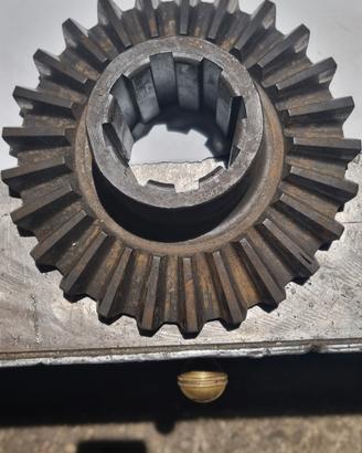 Corona conica fresa sicma, 25
denti.