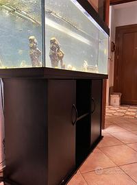 acquario 360 litri