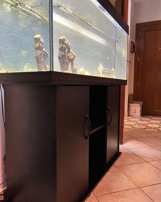 acquario 360 litri