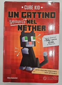 Un gattino smarrito nel nether