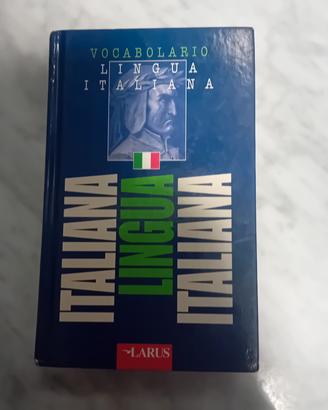 VOCABOLARIO LINGUA ITALIANA LARUS