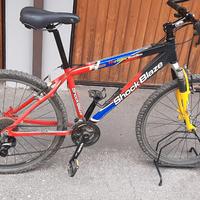 bici beik