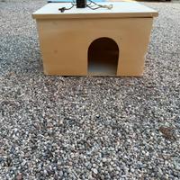 Gatto o cane casetta