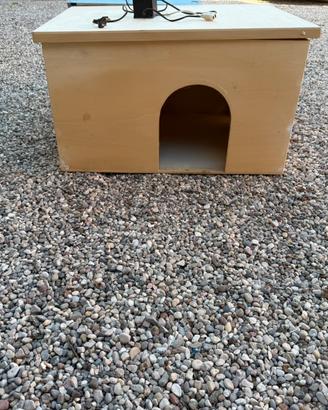 Gatto o cane casetta