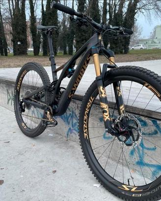 specialized stumpjumper s works