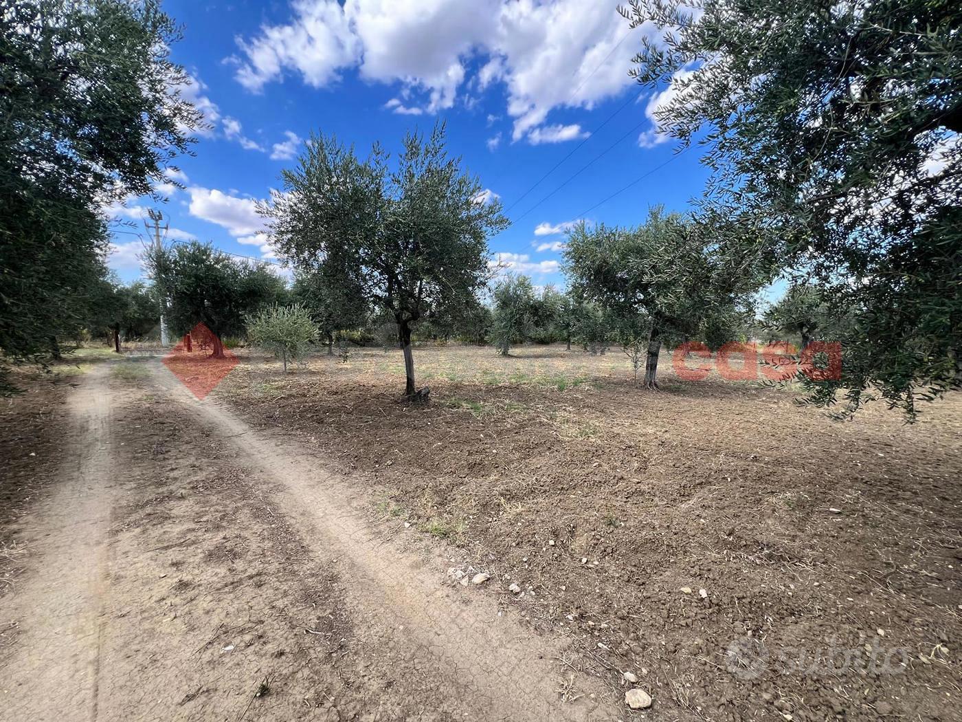 Terreno Agricolo Barile [Cod. rif 3269246VCG] - Vista 3