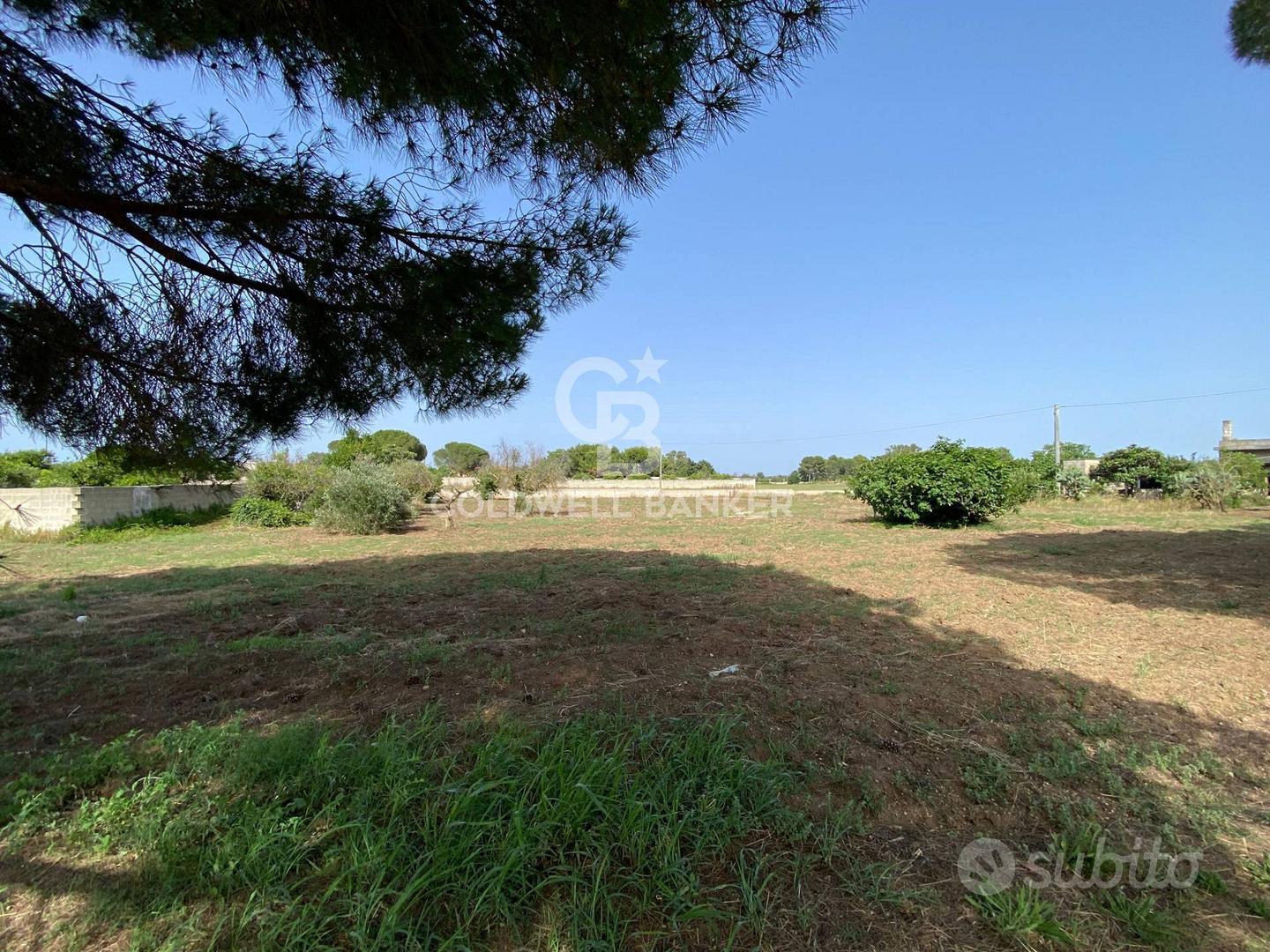 Terreno Edificabile - Vernole - Vista 2