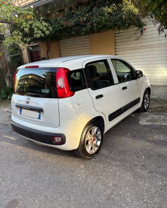 Fiat panda terza serie