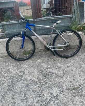 Bici mtb