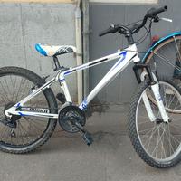 Bici MTB 24