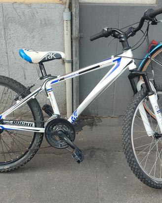 Bici MTB 24