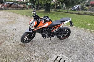 Ktm duke 2019