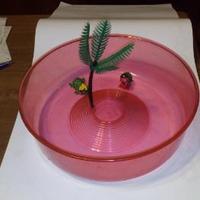 Vaschetta per piccole tartarughe