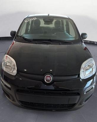 FIAT Pandina My26 1.0 65cv Hybrid Pop