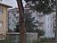 Immagine 11