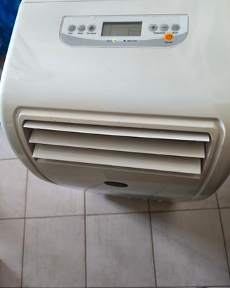 condizionatore portatile Zephir tipo pinguino