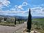 Immagine 11