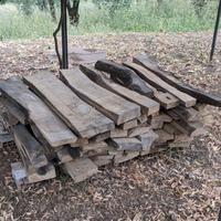 Tavole di ulivo stagionate
