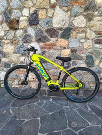 ebike