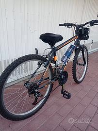bicicletta ragazzo 