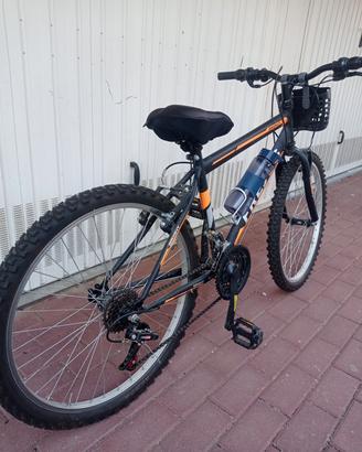bicicletta ragazzo 