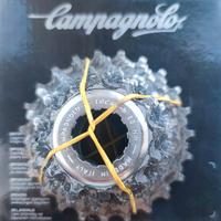 Pacco Pignone 10v Campagnolo Record 12-23