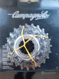Pacco Pignone 10v Campagnolo Record 12-23