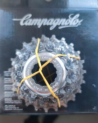 Pacco Pignone 10v Campagnolo Record 12-23