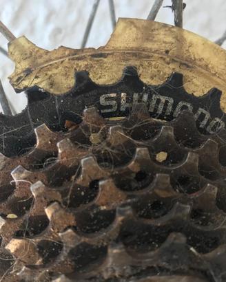 mtb cerchioni e copertoni