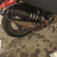 Marmitta Evolution 11 per zip